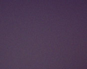 Pepa Molina Flamenco Dance Academy | Dance Class Melbourne